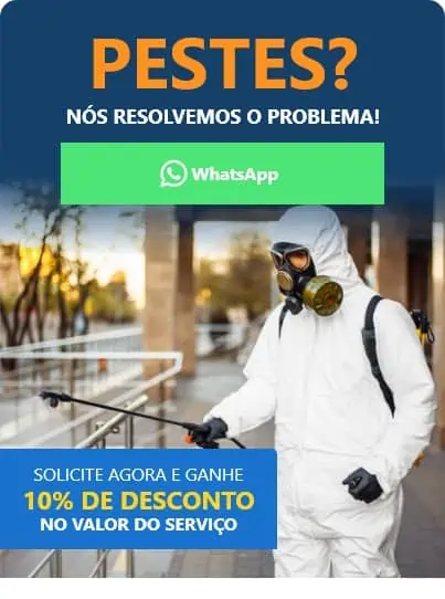 Desentupidora